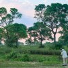 Отель SouthWild Pantanal Lodge, фото 15