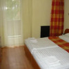 Отель Ezüstfenyő Hotel, фото 5