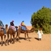 Отель Merzouga Camp And Hostel, фото 14