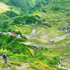 Отель Batad View Inn and Restaurant, фото 12