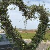 Отель Göbeklitepe Bahce Saray, фото 25