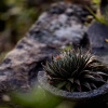 Отель Thotalagala, фото 8