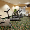 Отель Holiday Inn Express & Suites Lenoir City (Knoxville Area), фото 18