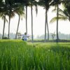 Отель Bhuwana Ubud Hotel and Farming, фото 20