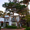 Отель Black Dolphin Inn, фото 1