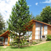 Отель Cabañas Ruka Rayun, фото 10