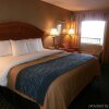 Отель Comfort Inn Sun City Center - Ruskin - Tampa South, фото 22