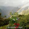 Отель Llactapata Lodge Overlooking MachuPicchu, фото 7