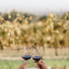 Отель Zevenwacht Wine Estate, фото 18
