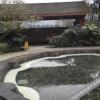 Отель Baoshan Hotspring Hotel, фото 9