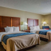 Отель Comfort Inn & Suites Jackson - West Bend, фото 5