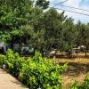Отель Tenedos Bag Evleri, фото 9