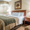 Отель Comfort Inn St. Robert / Fort Leonard Wood, фото 4