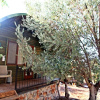 Отель Kaş Hi̇story Li̇manağzi, фото 12