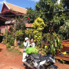 Отель Ratanak Teprithea Home Stay, фото 3