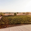 Отель Mettler Winery, фото 14