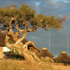 Отель Gocheganas Lodge, фото 11