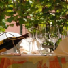 Отель Logis Hostellerie Bressane- Cuisery, фото 10
