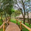 Отель Ngorongoro Forest Tented Lodge, фото 11