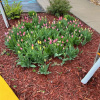 Отель Baymont Inn & Suites, фото 17