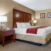 Отель Comfort Inn And Suites, фото 6