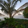 Отель White Lagoon Fehendhoo, фото 30