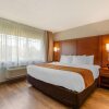 Отель Comfort Inn & Suites, фото 27