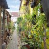 Отель Antique Apartment in Wismar Mecklenburg With Garden, фото 22