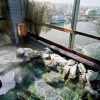 Отель Hot water of the natural hot spring Nusamai La Vista Kushiro River (Dormy Inn chain), фото 19