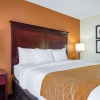 Отель Comfort Inn & Suites, фото 3