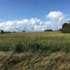 Отель Moderne Unterkunft Landzeit Esens nahe der Nordsee - ökologisch saniertes Ferienhaus, фото 2