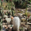 Отель Los Cactus de Islón, фото 13