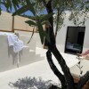 Отель Rustic Hill Private Pool Suites, фото 23