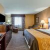 Отель Comfort Inn & Suites, фото 15