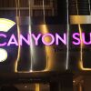 Отель Canyonsun в Ченнаи