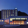 Отель Iine Hotel Resea Minamichita в Ханде