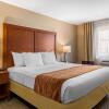 Отель Comfort Inn & Suites Murrieta Temecula Wine Country, фото 44