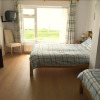 Отель O'neills B&B, фото 3