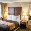 Отель Comfort Inn & Suites Beaverton - Portland West, фото 3