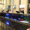 Отель Radisson Blu Hotel Mersin, фото 22