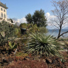 Отель Villa Emden Isole di Brissago, фото 25