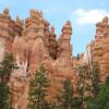 Отель The Lodge at Bryce Canyon, фото 15