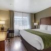 Отель Comfort Inn, фото 30