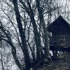 Отель Tiny hut in the Forest Overlooking the River, фото 28