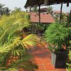 Отель Golden Takeo Guesthouse в Сиемреапе