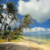 Отель Saipan Ocean View Hotel, фото 12