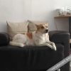 Отель TONG  home, фото 2
