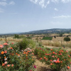 Отель Scappo In Umbria, Casale le Stelle Num003, фото 23