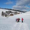 Отель Schwarzwald-Gasthof Rößle, фото 36