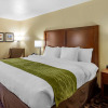 Отель Comfort Inn & Suites North Aurora - Naperville, фото 3